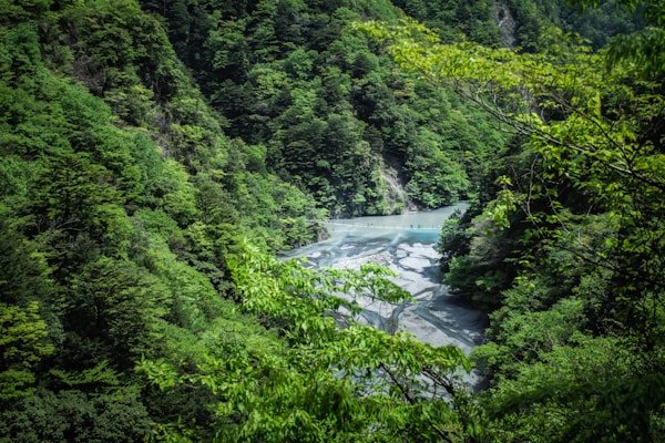绿源环保公益短剧《地球守护者》 - 漫剧工坊客户案例展示